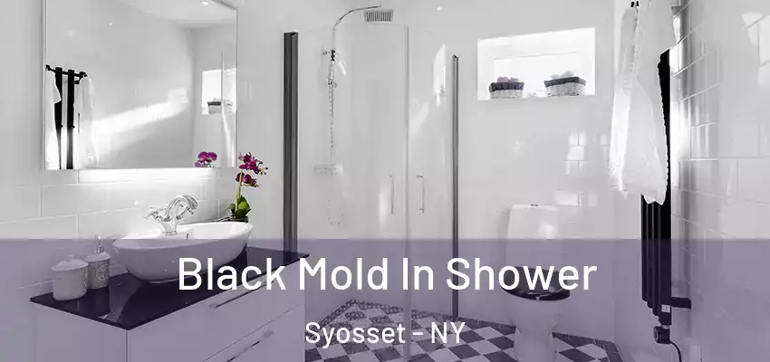  Black Mold In Shower Syosset - NY