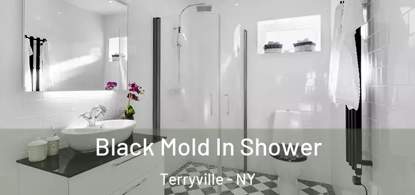  Black Mold In Shower Terryville - NY