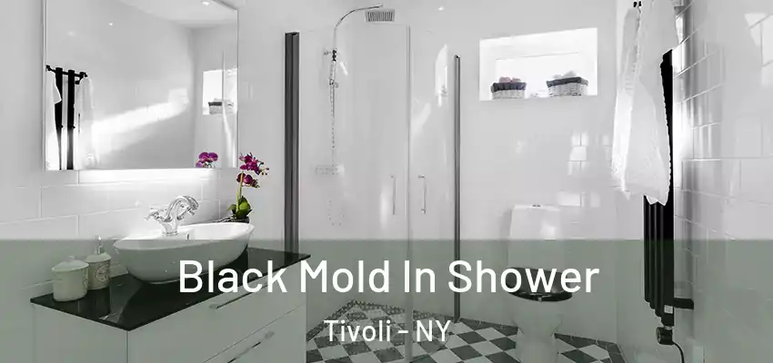  Black Mold In Shower Tivoli - NY