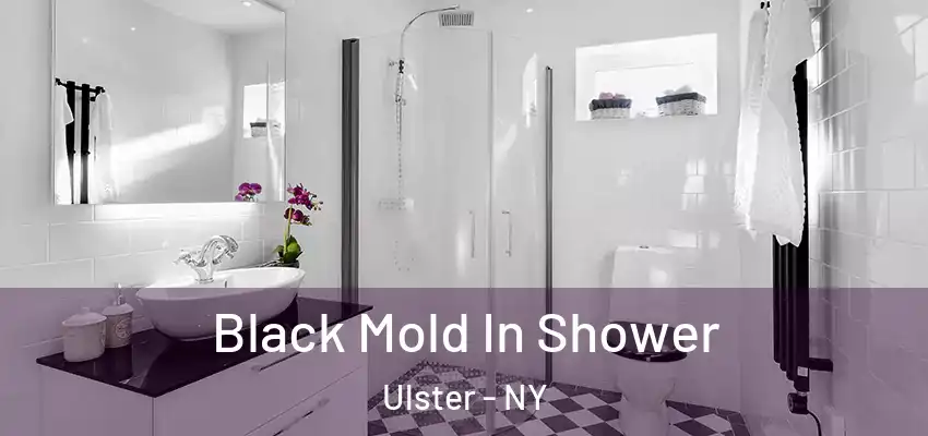  Black Mold In Shower Ulster - NY