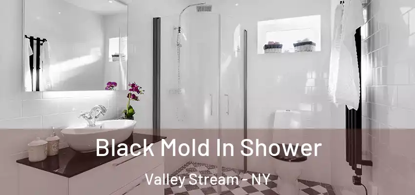  Black Mold In Shower Valley Stream - NY