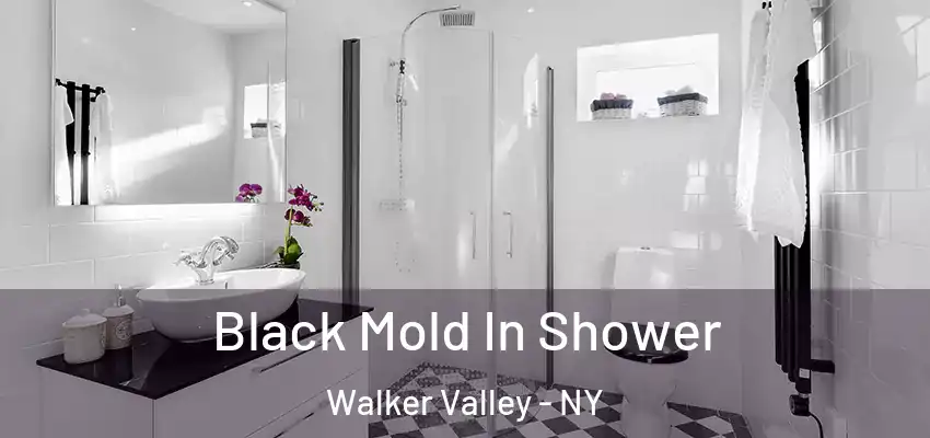  Black Mold In Shower Walker Valley - NY
