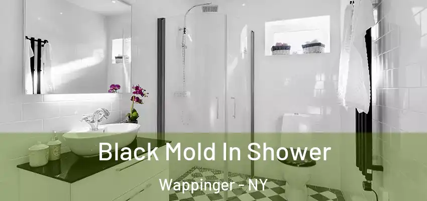 Black Mold In Shower Wappinger - NY