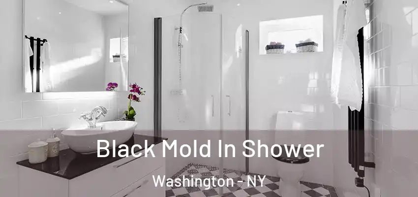  Black Mold In Shower Washington - NY