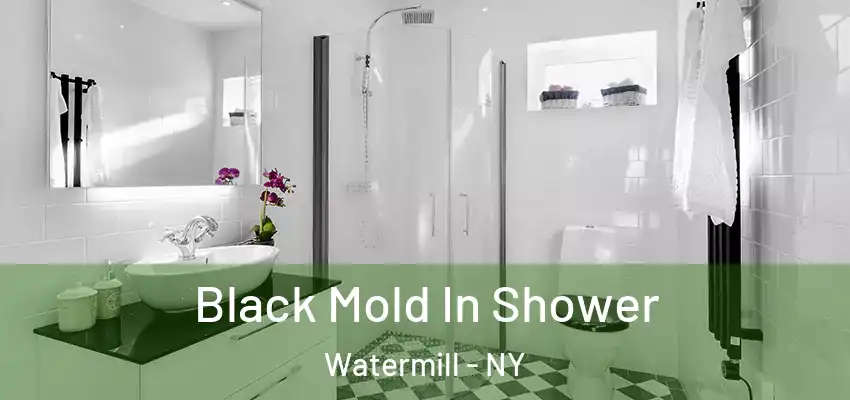  Black Mold In Shower Watermill - NY