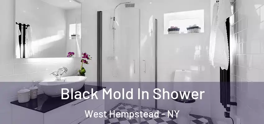 Black Mold In Shower West Hempstead - NY