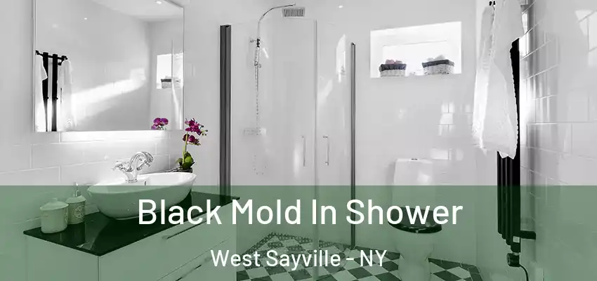 Black Mold In Shower West Sayville - NY