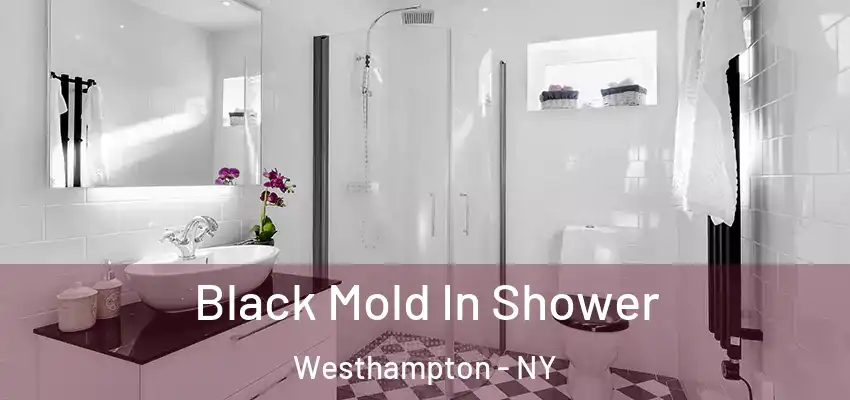 Black Mold In Shower Westhampton - NY