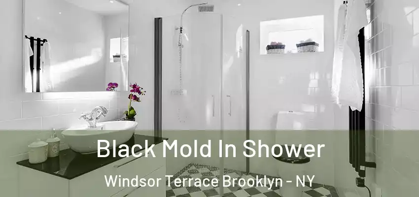  Black Mold In Shower Windsor Terrace Brooklyn - NY