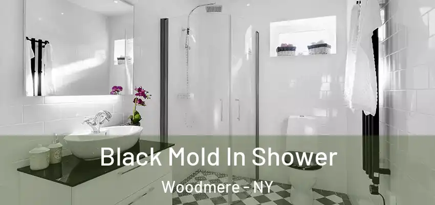  Black Mold In Shower Woodmere - NY