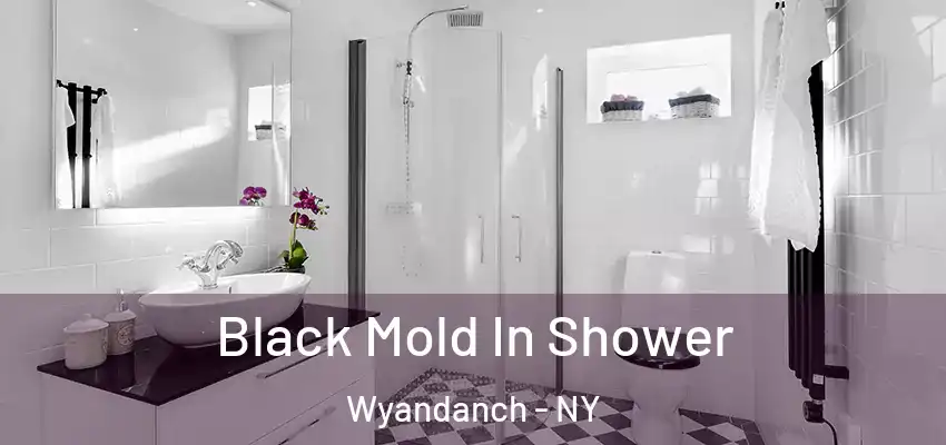  Black Mold In Shower Wyandanch - NY