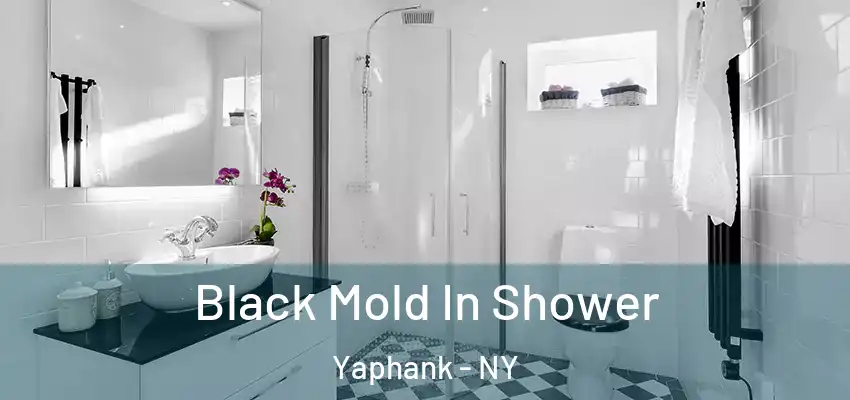  Black Mold In Shower Yaphank - NY