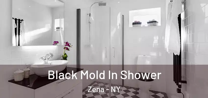  Black Mold In Shower Zena - NY