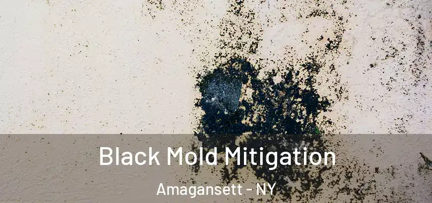  Black Mold Mitigation Amagansett - NY