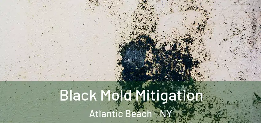 Black Mold Mitigation Atlantic Beach - NY