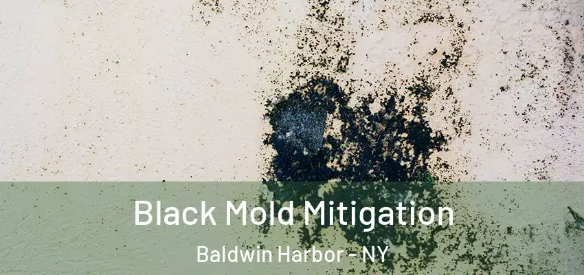  Black Mold Mitigation Baldwin Harbor - NY