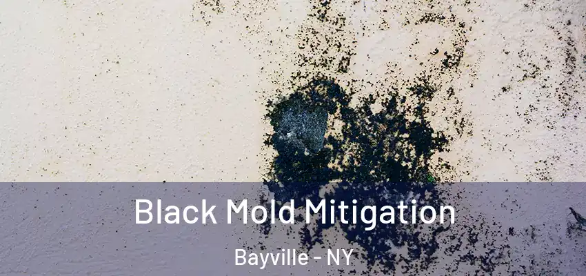 Black Mold Mitigation Bayville - NY