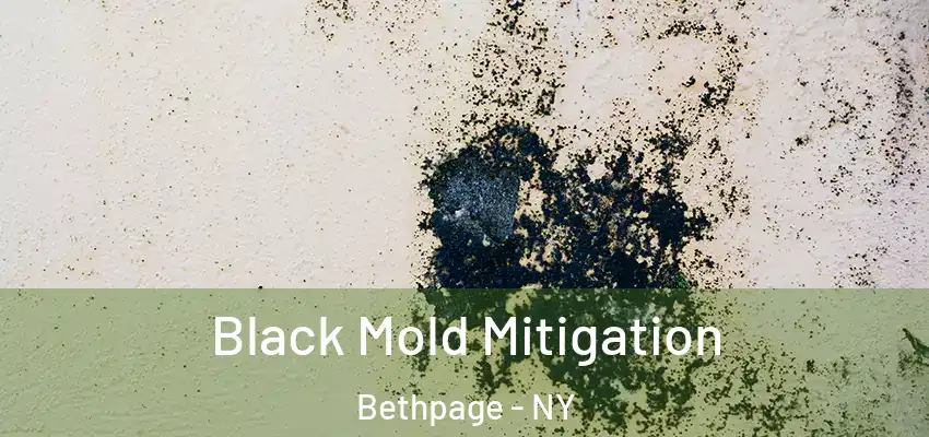  Black Mold Mitigation Bethpage - NY