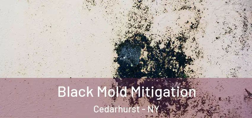  Black Mold Mitigation Cedarhurst - NY