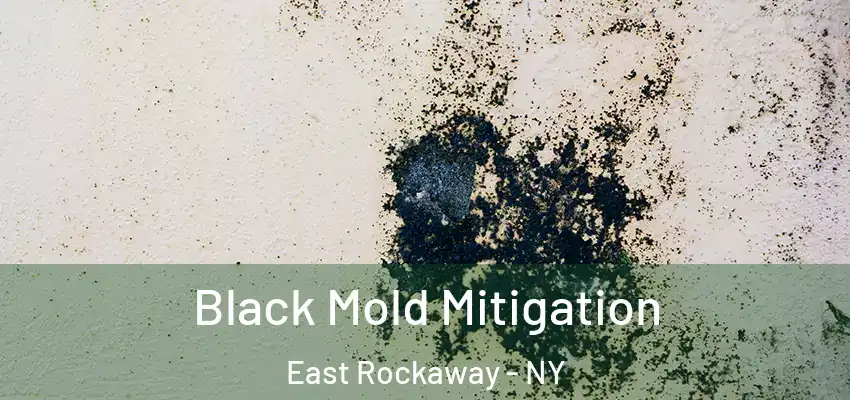 Black Mold Mitigation East Rockaway - NY