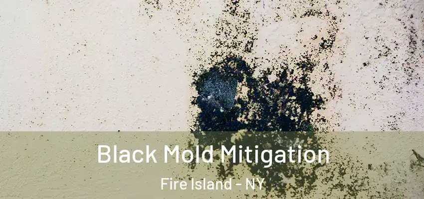 Black Mold Mitigation Fire Island - NY