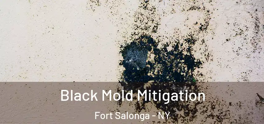 Black Mold Mitigation Fort Salonga - NY