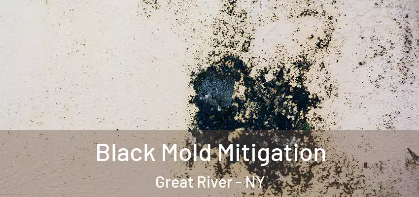 Black Mold Mitigation Great River - NY