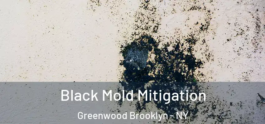  Black Mold Mitigation Greenwood Brooklyn - NY