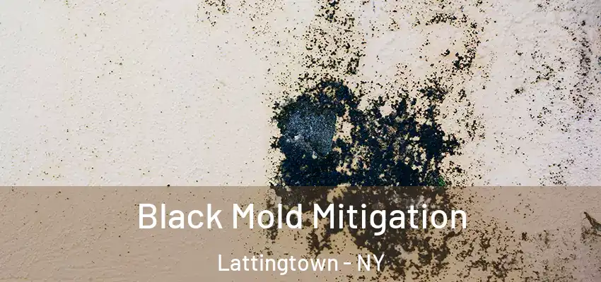 Black Mold Mitigation Lattingtown - NY
