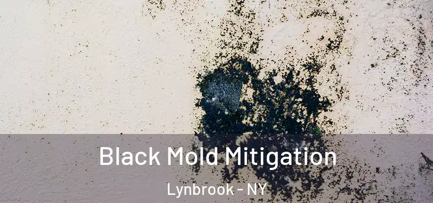 Black Mold Mitigation Lynbrook - NY