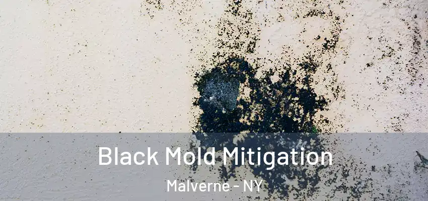 Black Mold Mitigation Malverne - NY
