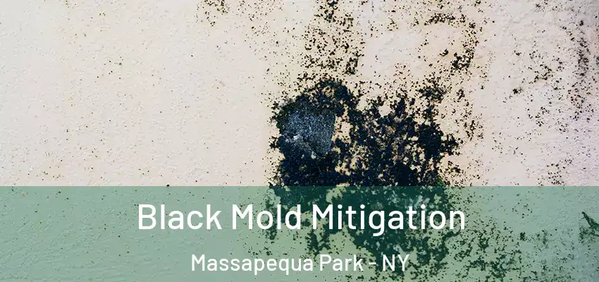  Black Mold Mitigation Massapequa Park - NY