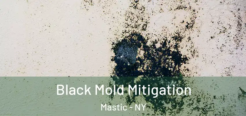  Black Mold Mitigation Mastic - NY