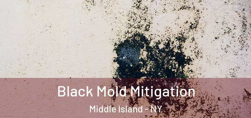 Black Mold Mitigation Middle Island - NY
