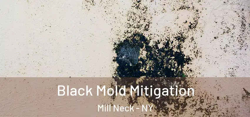  Black Mold Mitigation Mill Neck - NY