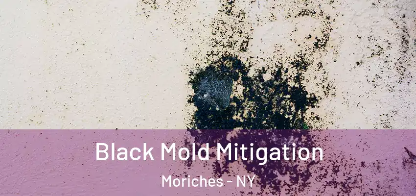 Black Mold Mitigation Moriches - NY
