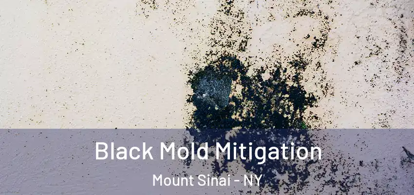  Black Mold Mitigation Mount Sinai - NY