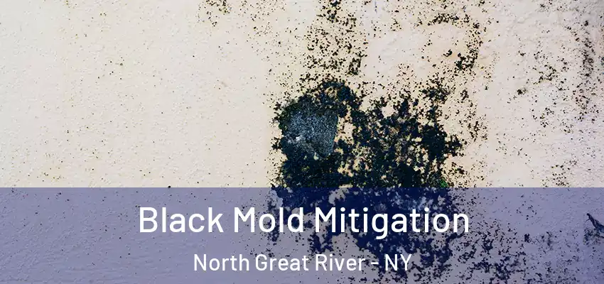 Black Mold Mitigation North Great River - NY