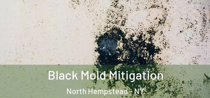 Black Mold Mitigation North Hempstead - NY