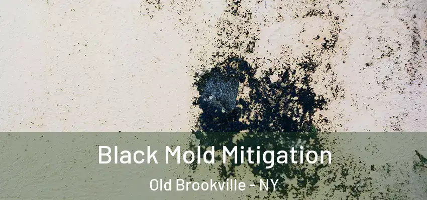 Black Mold Mitigation Old Brookville - NY