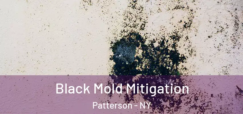 Black Mold Mitigation Patterson - NY