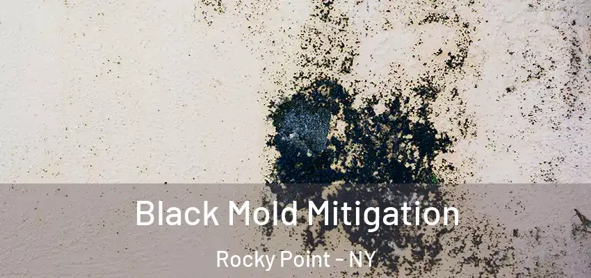 Black Mold Mitigation Rocky Point - NY