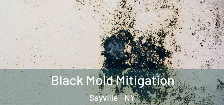  Black Mold Mitigation Sayville - NY
