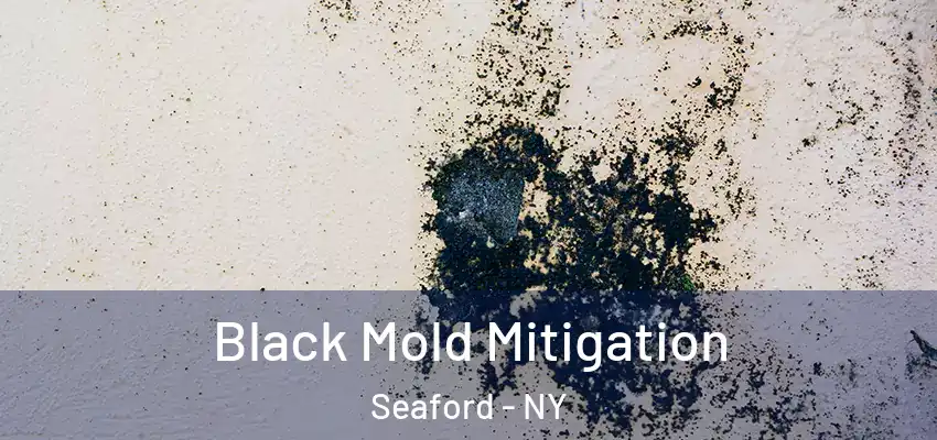 Black Mold Mitigation Seaford - NY