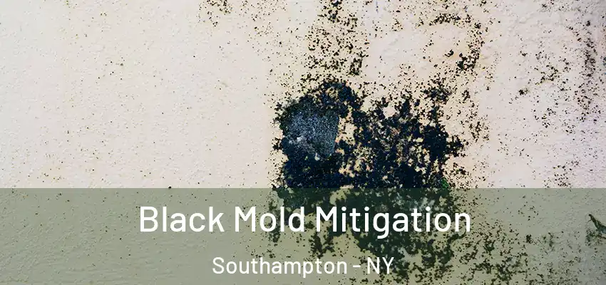  Black Mold Mitigation Southampton - NY