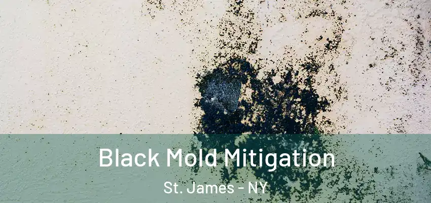  Black Mold Mitigation St. James - NY