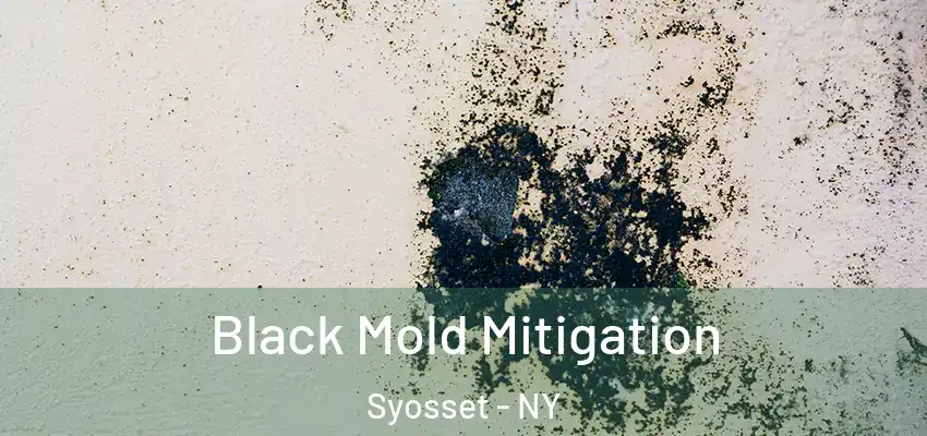 Black Mold Mitigation Syosset - NY