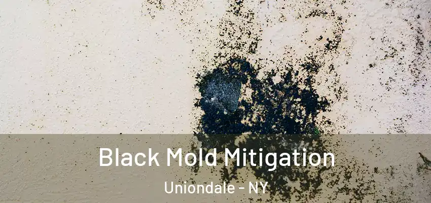 Black Mold Mitigation Uniondale - NY