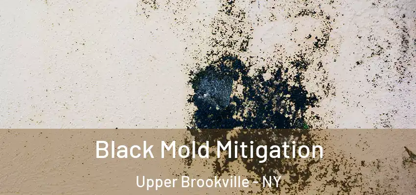  Black Mold Mitigation Upper Brookville - NY