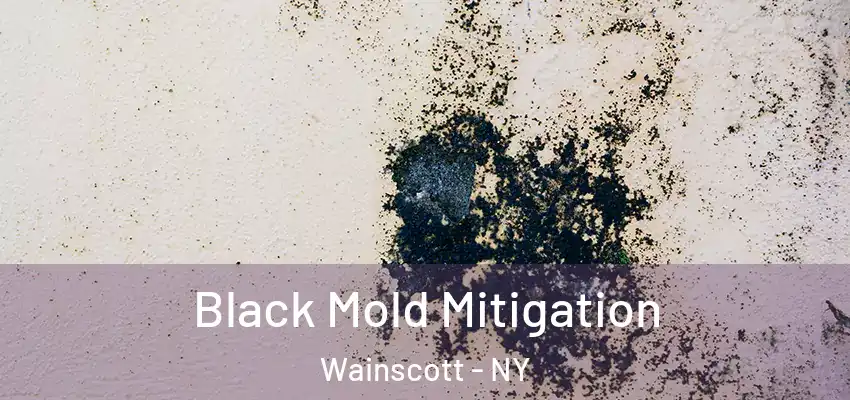 Black Mold Mitigation Wainscott - NY